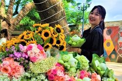Thoáng mùa thu Hà Nội giữa lòng Buôn Ma Thuột