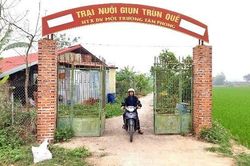 Khát vọng xây dựng hệ sinh thái phi rác thải từ giun quế tại Vĩnh Phúc