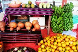 Thừa Thiên Huế: Tập trung nguồn lực, giảm nghèo cho đồng bào dân tộc thiểu số