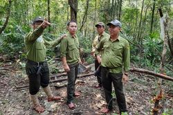 Truyền thông nâng cao nhận thức về dịch vụ môi trường rừng