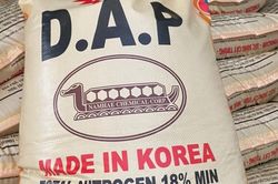 Không có việc dừng nhập khẩu phân bón DAP từ Hàn Quốc vì lùm xùm dư lượng Camidi