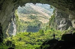 Phát hiện khu rừng cổ đại dưới hố sụt khổng lồ, chuyên gia suýt ngất