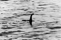 Khởi động cuộc săn lùng quái vật hồ Loch Ness