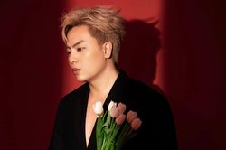 Nhạc sĩ Hứa Kim Tuyền 'chơi lớn' tặng bài hát cho một thí sinh Vietnam Idol