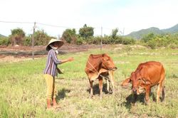 Khánh Vĩnh: Dồn sức để giảm nghèo