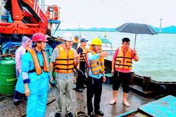 Hải Phòng nỗ lực cấp điện trở lại cho đảo Cát Bà