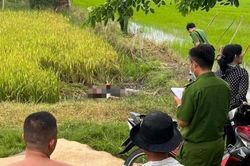 Người đàn ông tử vong ở ruộng lúa, nghi bị điện giật