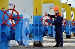 Ukraine không có kế hoạch nhập khẩu khí đốt trong mùa Đông tới đây