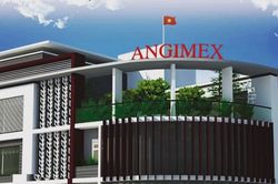 Angimex đã khắc phục nguyên nhân cổ phiếu bị hạn chế giao dịch
