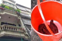 Cháu bé 5 tháng tuổi được cho vào xô thả xuống thoát khỏi đám cháy