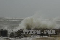 Bão Saola giật trên cấp 17 áp sát Biển Đông