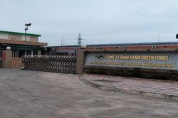 Công ty TNHH Hanoi Green Food bị phạt hơn 700 triệu đồng vì xả thải gây ô nhiễm môi trường