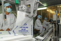 Tỷ giá USD, đường trắng tiếp tục đà tăng mạnh; Giá cà phê trong nước cao nhất 65.800 đồng/kg