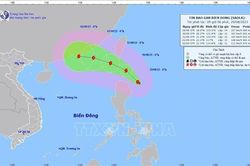 Chủ động ứng phó với bão SAOLA
