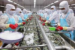 Chu kỳ cắt giảm hàng tồn kho tại Mỹ sắp kết thúc, xuất khẩu thủy sản, đồ gỗ của Việt Nam phục hồi trước