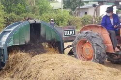 Trình diễn công nghệ xử lý và sử dụng rơm rạ sản xuất phân hữu cơ