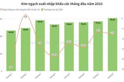 Kim ngạch xuất nhập khẩu tháng 8 cao nhất từ đầu năm