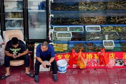 Căng thẳng vì nước xả thải