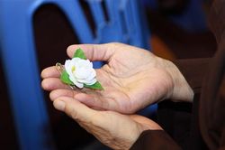 Mất cha mẹ như mất cả bầu trời