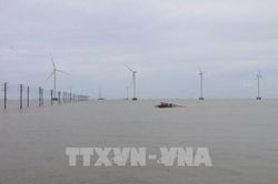 Giá điện gió và mặt trời cho các nhà máy mới của Bộ Công Thương lấy ý kiến có gì thay đổi?
