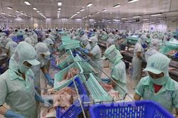 Hoa Kỳ nhận hồ sơ đề nghị rà soát thuế chống bán phá giá một số sản phẩm từ Việt Nam