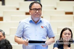 Đại biểu Quốc hội tỉnh góp ý kiến vào dự án Luật Đất đai (sửa đổi)