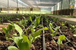 Xanh hóa làng nghề nhờ công nghệ