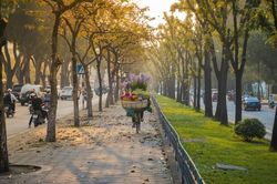 Thời tiết hôm nay 30/8: Miền Bắc ngày nắng trên 34 độ, phía Nam mưa diện dộng