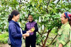 Giúp người dân phát triển kinh tế