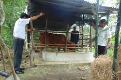 An Giang: Đầu tư có trọng tâm, trọng điểm Chương trình mục tiêu quốc gia
