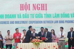 Doanh nghiệp Ấn Độ 'lập kỷ lục' ký kết giao thương với các tỉnh Tây Nguyên
