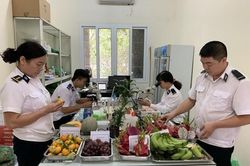 Không cho phép xuất khẩu với lô hàng nông sản vi phạm về kiểm dịch thực vật