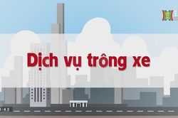 Dịch vụ trông xe | Chuyện quanh ta | tập 117 | 30/08/2023