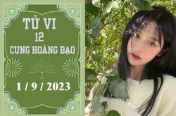 Tử vi vui 12 cung hoàng đạo ngày 1/9: Nhân Mã áp lực, Kim Ngưu khá tốt