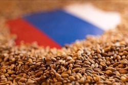 Nga sẽ đàm phán với Thổ Nhĩ Kỳ về giải pháp thay thế cho thỏa thuận Biển Đen