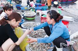 Nhiều đặc sản Nghệ An sẵn hàng phục vụ kỳ nghỉ lễ
