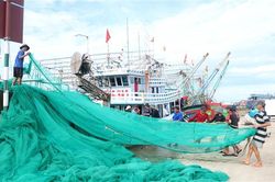 Khắc phục 'thẻ vàng' IUU: Quảng Trị sớm hoàn thiện hạ tầng và đăng ký tàu cá