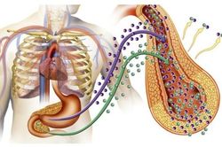 6 dấu hiệu vào buổi sáng chứng tỏ đường huyết vượt quá mức tiêu chuẩn, thấy một cũng nên cảnh giác