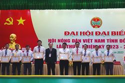 Hội Nông dân huyện Cao Lãnh đạt giải Nhất Hội thi trưng bày Sản phẩm nhà nông năm 2023