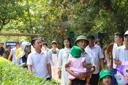 Tết Độc lập về thăm quê Bác