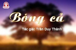 Tản văn hay: Bóng cả