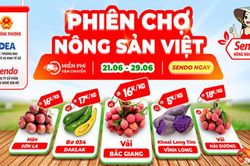 Tận dụng các kênh thương mại điện tử để 'kích cầu' mua sắm
