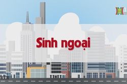 Sính ngoại | Chuyện quanh ta| tập 121| 02/09/2023