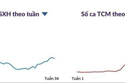 Thành phố Hồ Chí Minh: Bệnh sốt xuất huyết tiếp tục diễn biến phức tạp