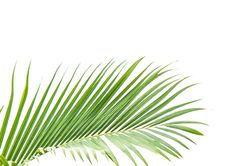 Mẹ