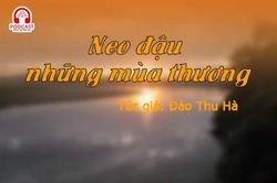 Đọc truyện đêm khuya: Neo đậu những mùa thương