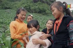 Tuyển chọn phim tham dự vòng sơ tuyển Oscar lần thứ 96