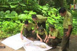 Kiểm lâm vùng giáp ranh| Tạp chí Kiểm lâm| 3/9/2023