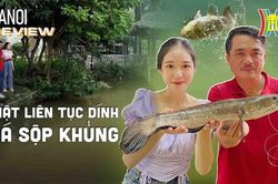 Trải nghiệm câu cá chuyên nghiệp | HANOI Reviews | 03/09/2023