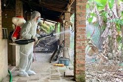 Ngăn chặn dịch bệnh sốt xuất huyết Dengue tại huyện Sóc Sơn